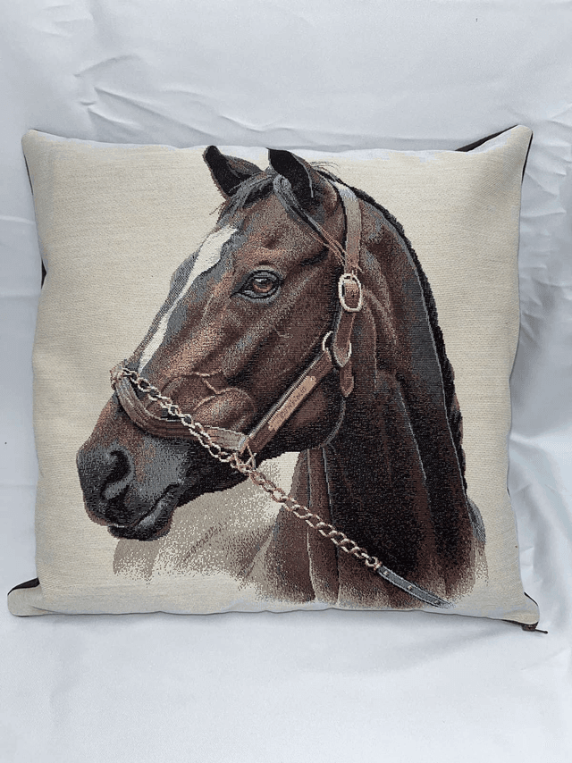 Coussin jacquard